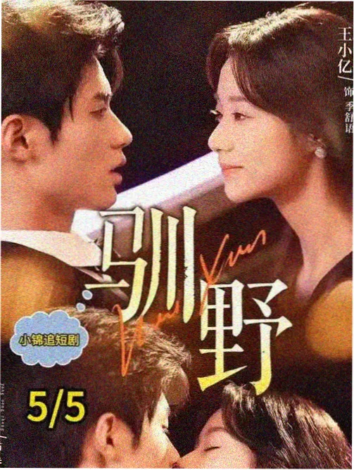 素材包结构图:六讲串线学习路径图示例